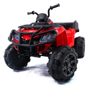 24 volt Elektrische Quad XL