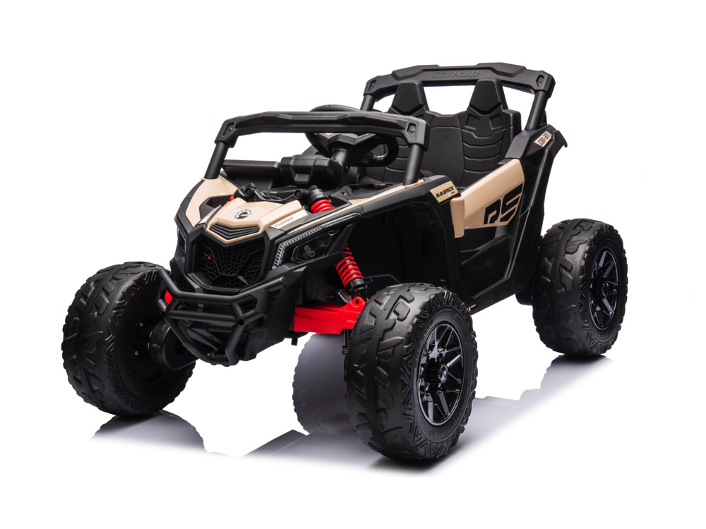 Can-Am Buggy