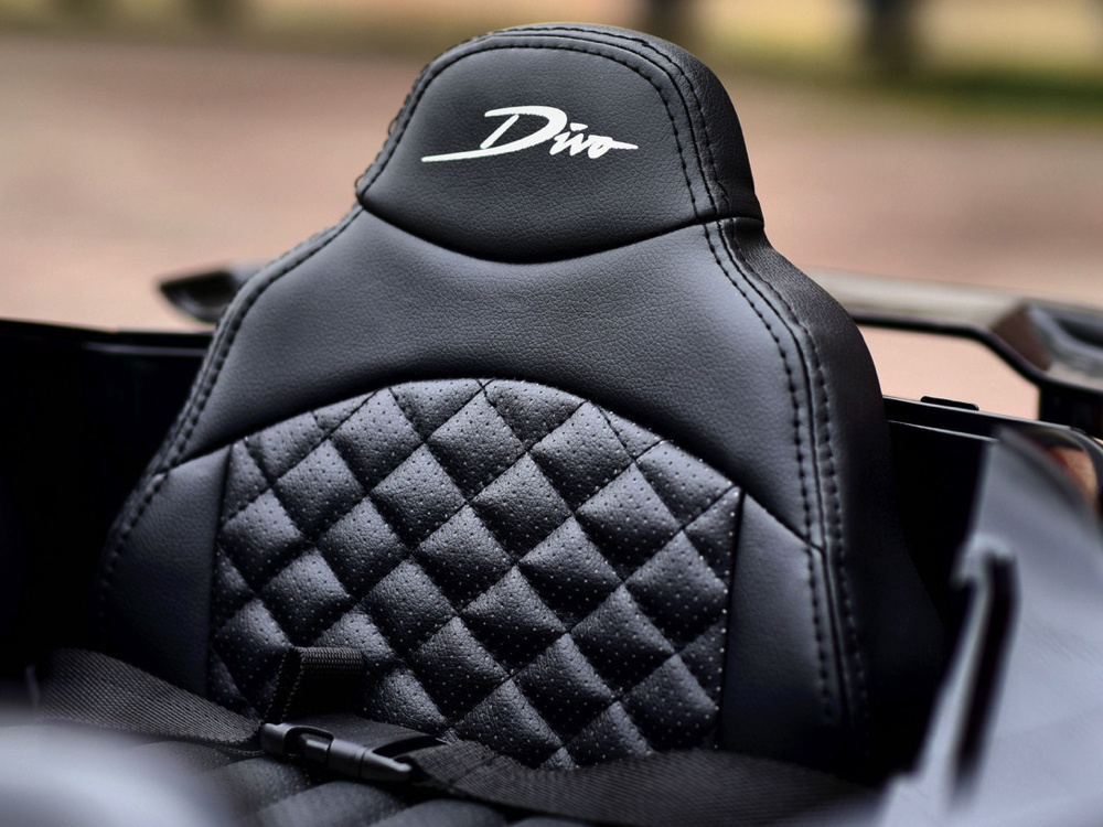 Bugatti Divo - Afbeelding 8