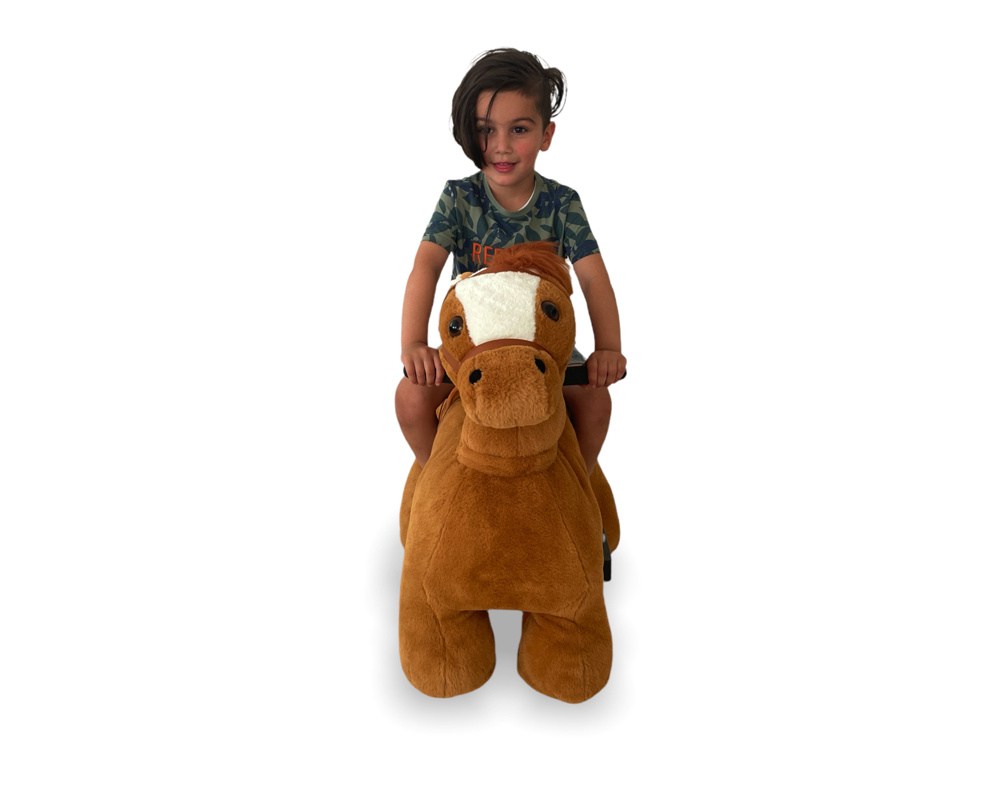 PetRide Paard - Afbeelding 3